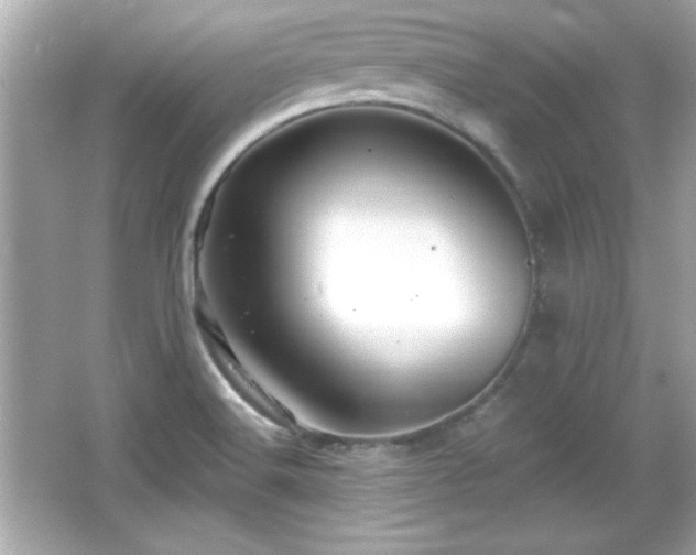 X0000066491516200603201243