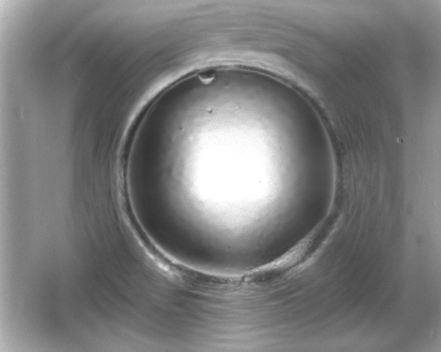 X0000066491517200603201243
