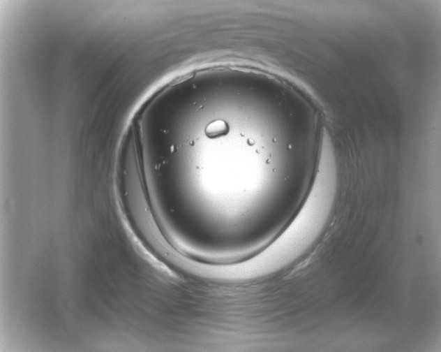 X0000066491518200603201243