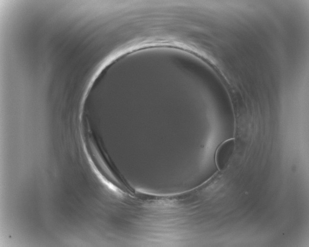 X0000066491519200603201243
