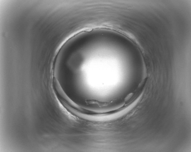 X0000066491524200603201244