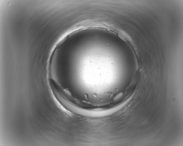 X0000066491528200603201244