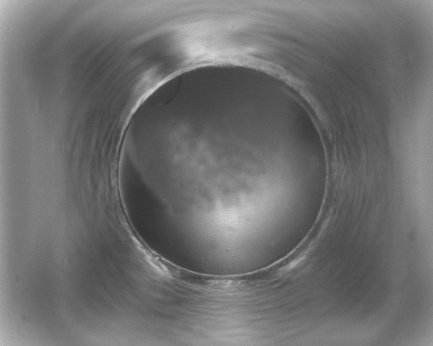 X0000066491529200603201244
