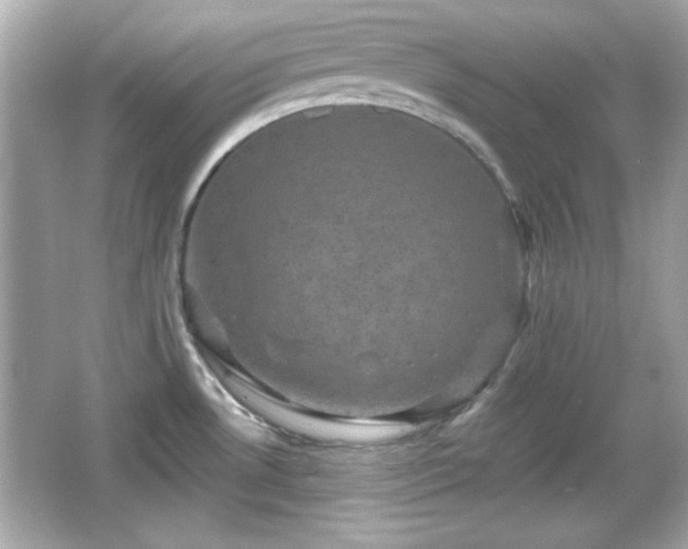 X0000066491530200603201244