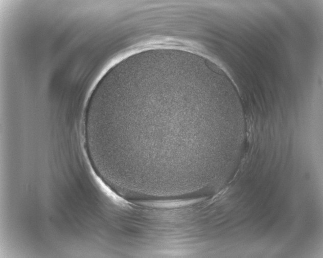 X0000066491531200603201244