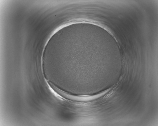 X0000066491535200603201244