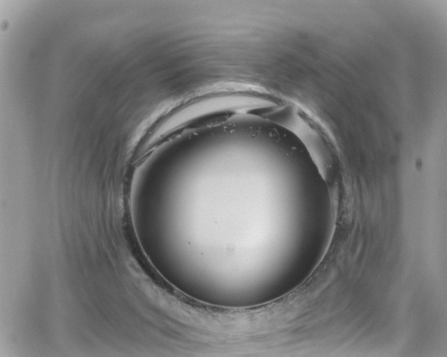 X0000066490015200603241128