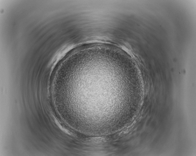 X0000066490050200603241127