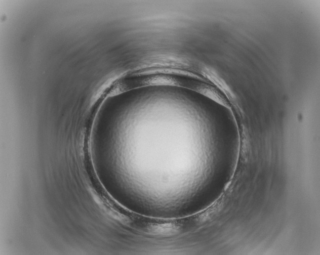 X0000066490058200603241127