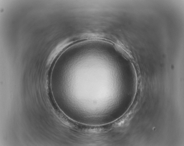X0000066490103200603241127