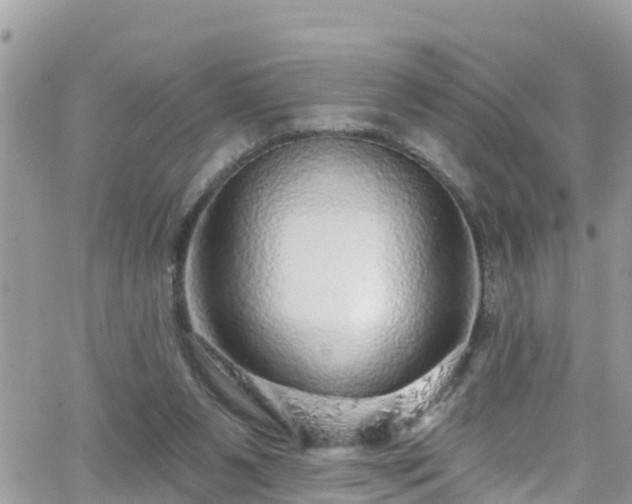 X0000066490111200603241127