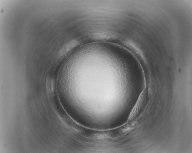 X0000066490115200603241126