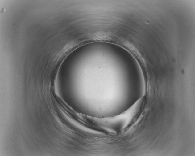 X0000066490201200603241125
