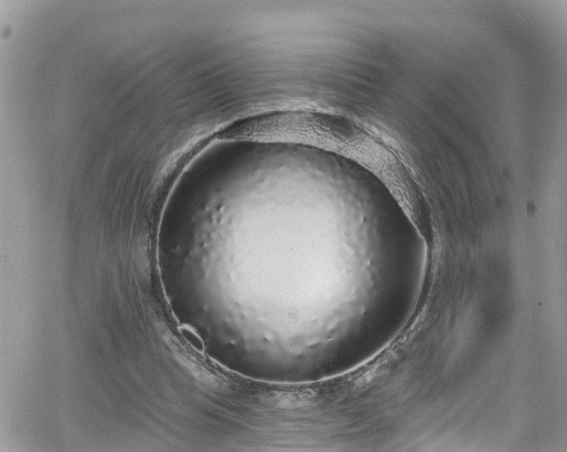 X0000066490345200603241122