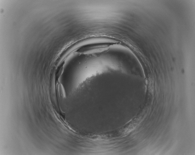 X0000066490434200603241120