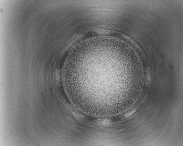 X0000066490667200603241118