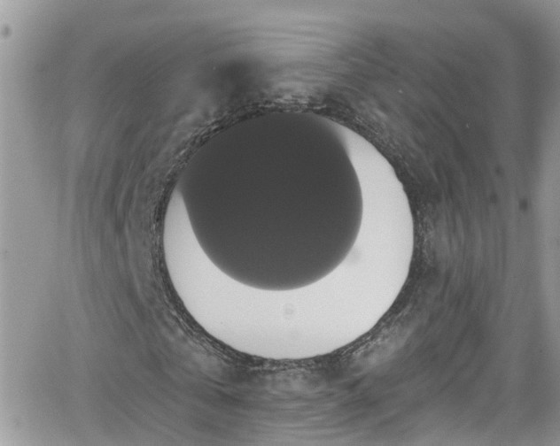 X0000066490769200603241116