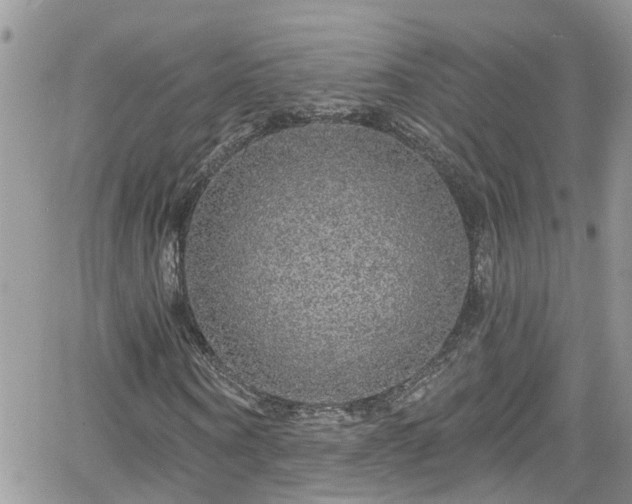 X0000066490866200603241114