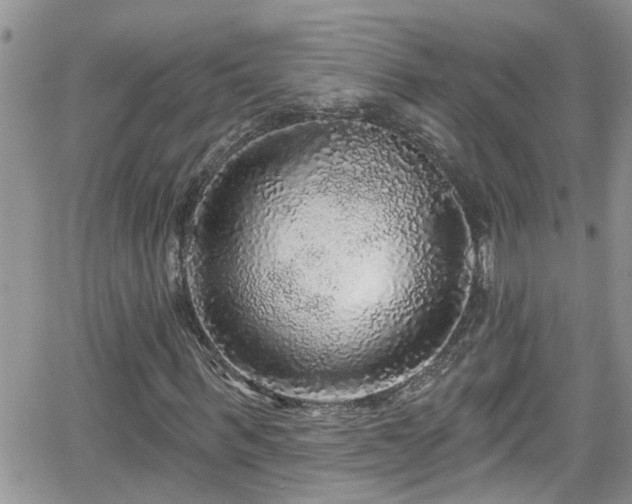 X0000066490963200603241113