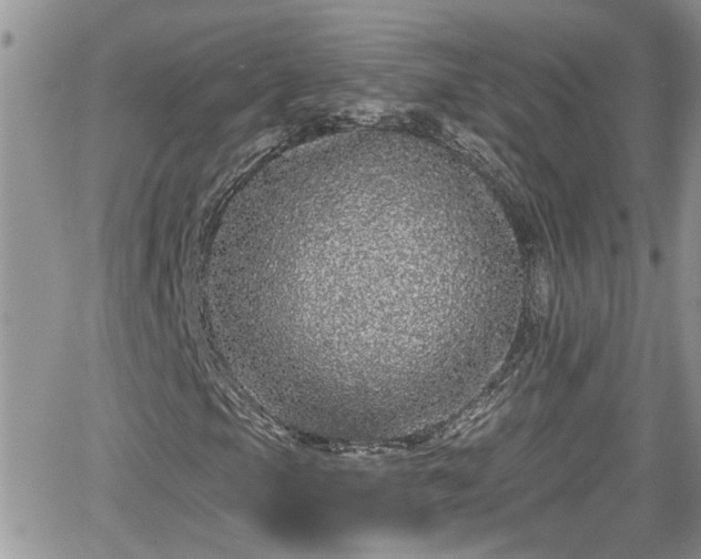 X0000066491105200603241109