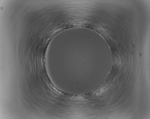 X0000066491106200603241109