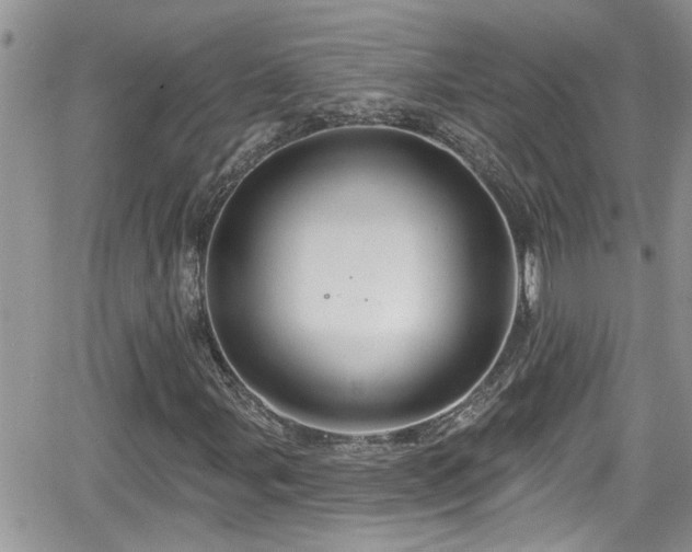 X0000066491107200603241109