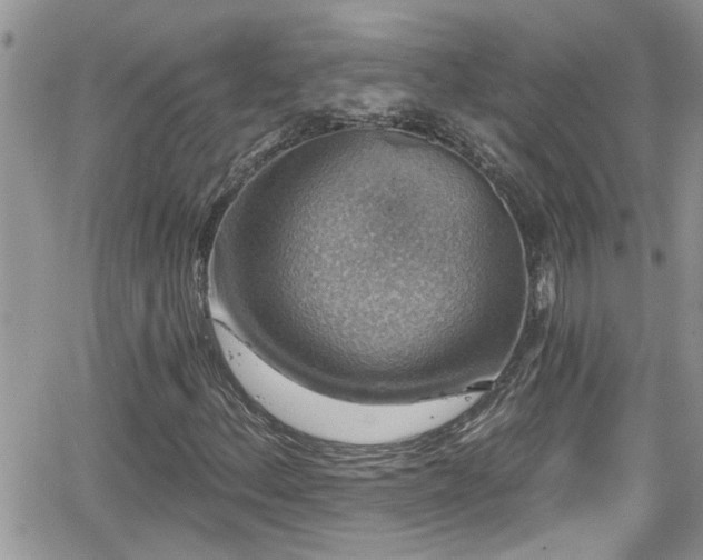 X0000066491156200603241109