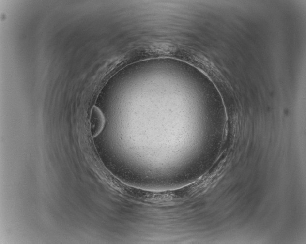 X0000066491201200603241108