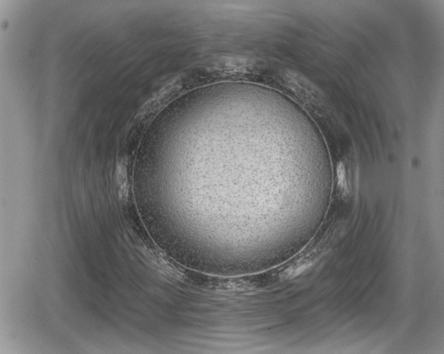 X0000066491203200603241108