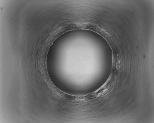 X0000066491249200603241108