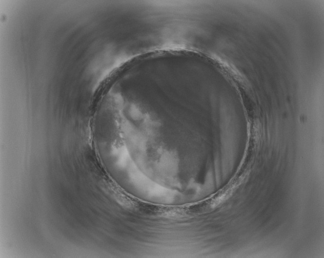 X0000066491262200603241108