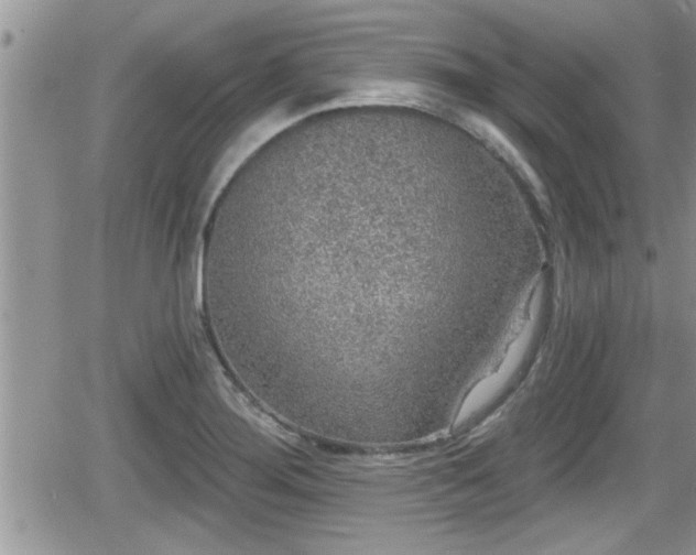 X0000066491276200603241107