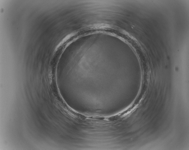 X0000066491306200603241106