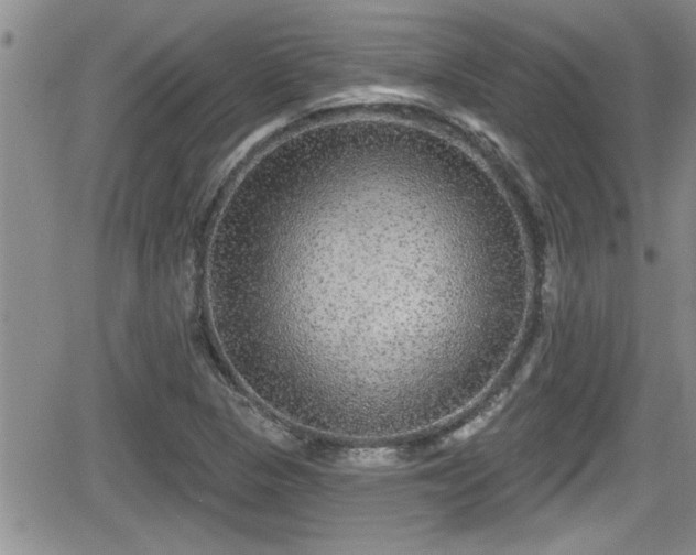 X0000066491313200603241107