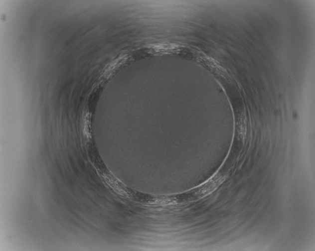 X0000066491346200603241106
