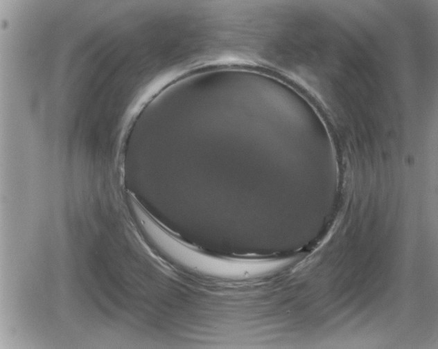 X0000066491367200603241106