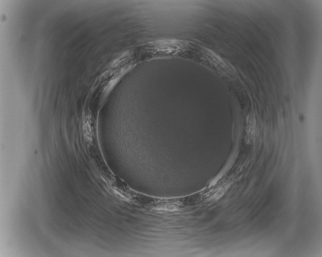 X0000066491394200603241105