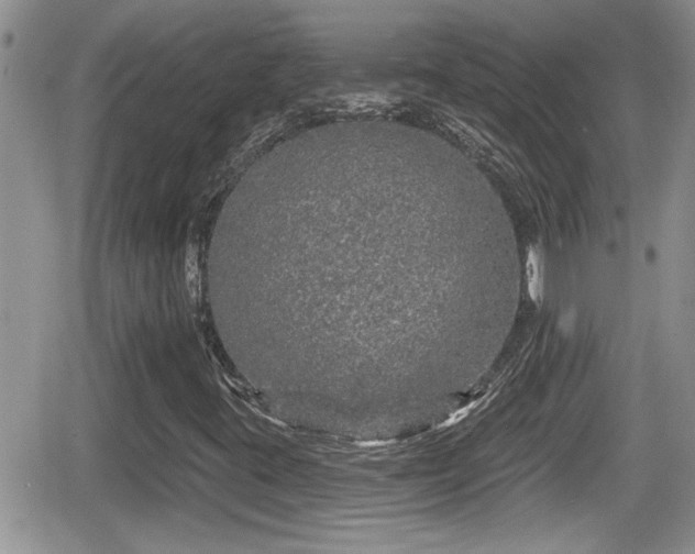X0000066491395200603241105