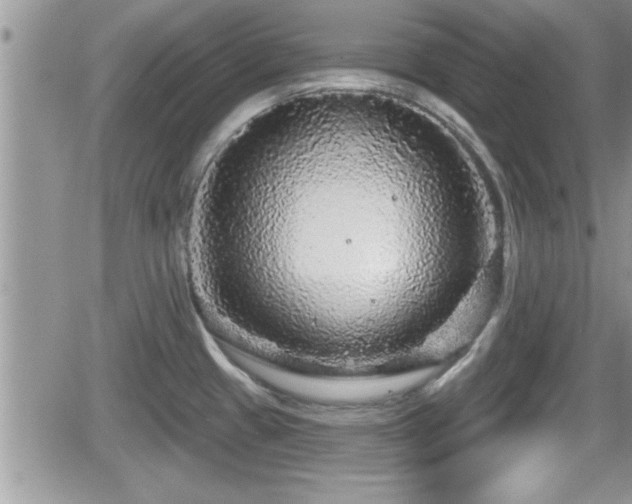 X0000066491433200603241105