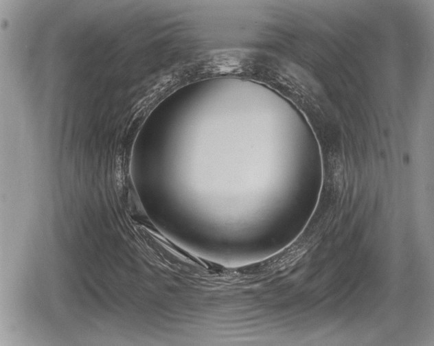 X0000066491442200603241105