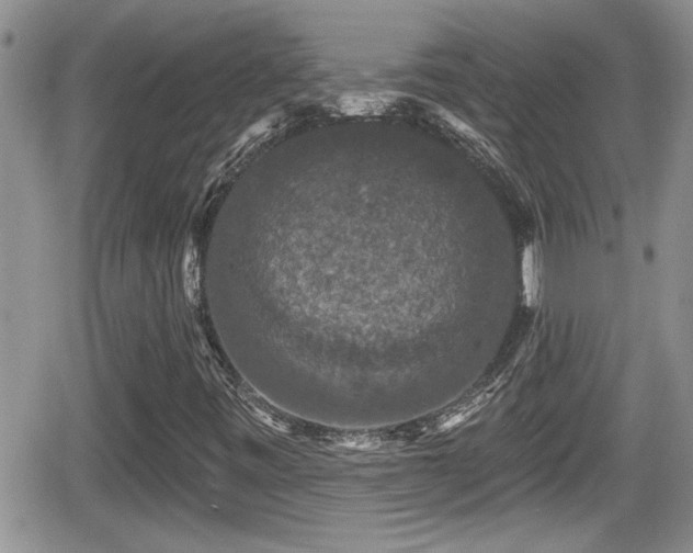 X0000066491443200603241105