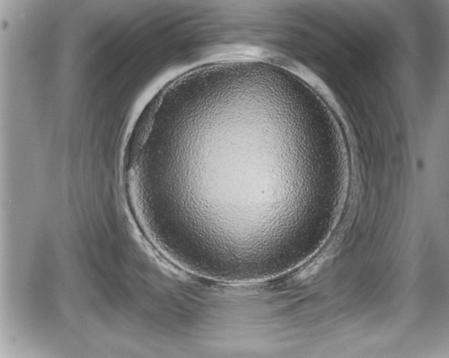 X0000066491488200603241104