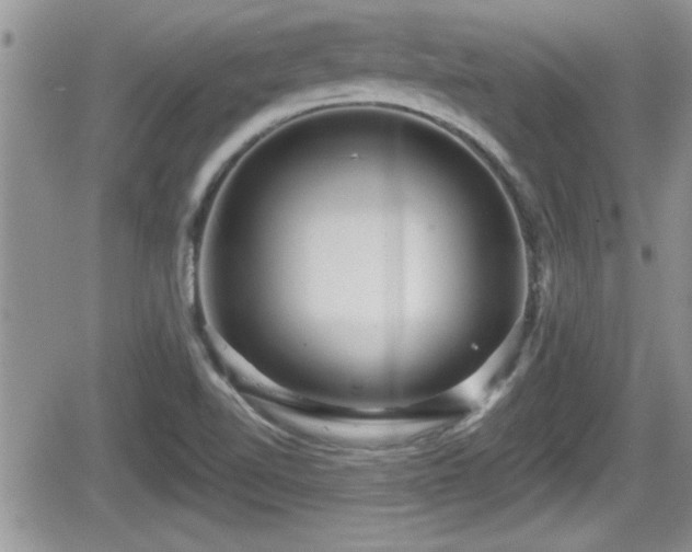X0000066491510200603241103