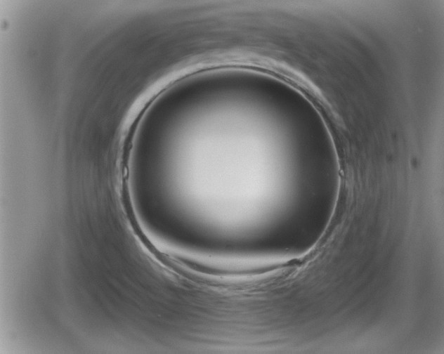 X0000066491512200603241104