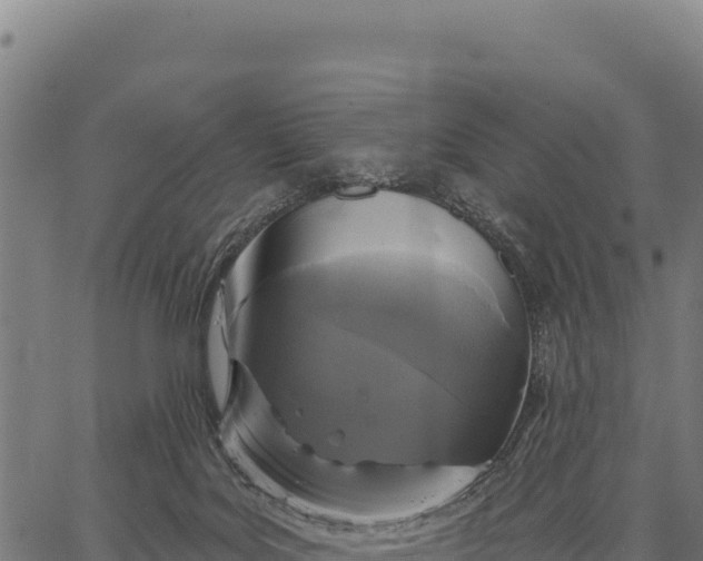 X0000066490027200603311651
