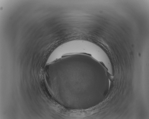 X0000066490029200603311651