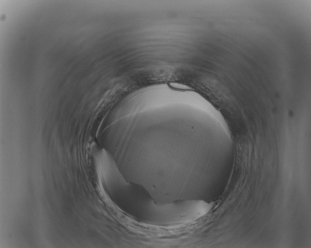 X0000066490035200603311650