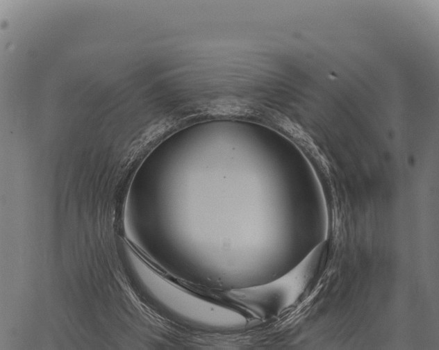X0000066490201200603311648