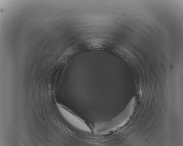 X0000066490223200603311647