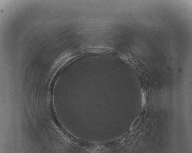 X0000066490243200603311646